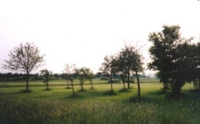 Boothferry Golf Course