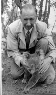 Shute with a Koala