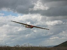 Model of Tern glider
