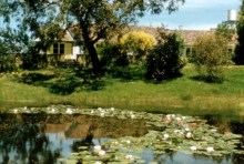 Langwarrin garden